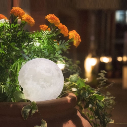 Tooarts Moon Lamp ? Valentine's Day Gift I LOVE YOU ? 3D Printed LED Light Modern Art Home Decor Moon In My Room US Plug 100-240V 50/60Hz