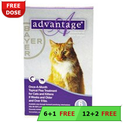 Advantage Cats Over 10lbs (Purple) 4 Doses