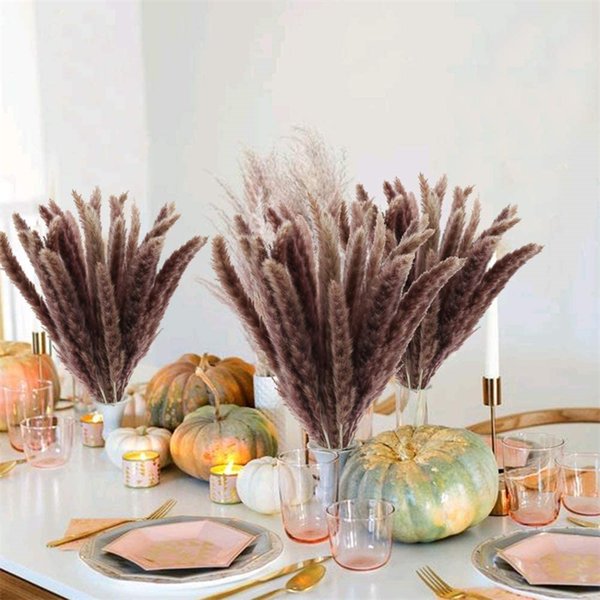 Natural 30pcs Dekoration Small Reed Phrmitages Dried Pampas Grass Dry Flowers Phragmites Bunch Communis Wedding Decoration Deco