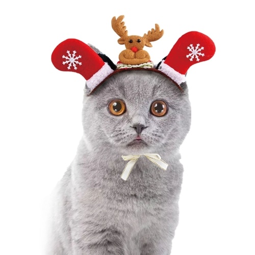 Gorro de navidad de gato