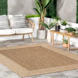 Light Brown Striped Border Indoor/Outdoor Flatweave 2' x 3' Area Rug