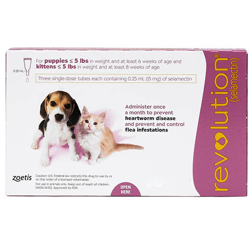 Revolution For Kittens / Puppies (Pink) 6 Doses