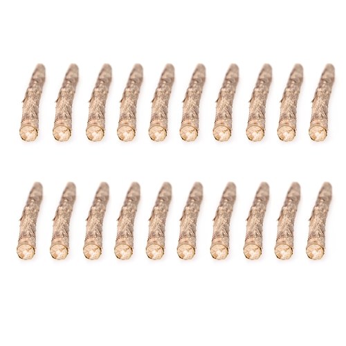 20 Unids Natural Cat Catnip Sticks